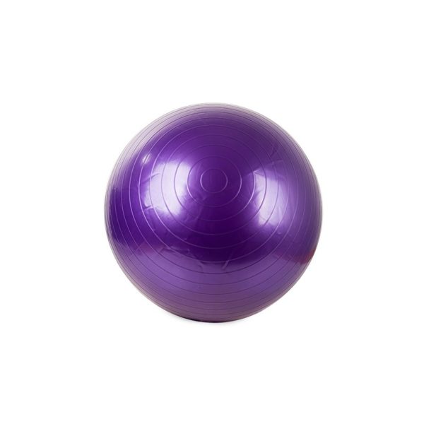 14173_F Gymnastický míč s pumpou 75 cm Fialová
