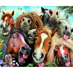 784018 NORIMPEX 5D Diamantová mozaika - Funny Horses