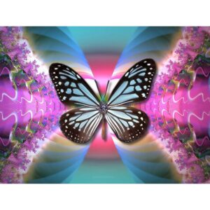 785770 NORIMPEX 5D Diamantová mozaika - LARGE - Hypno Butterfly