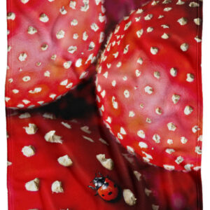 Deka Muchomůrky (Podšití beránkem: NE)