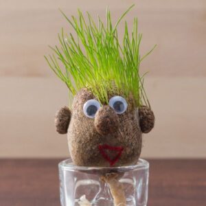 Hlava s rostoucími vlásky