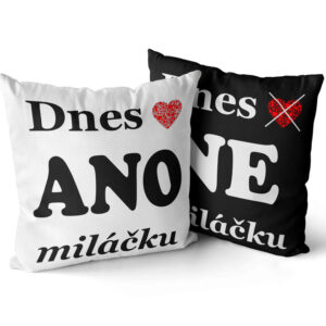 Polštář Dnes ano (ne) (Velikost: 55 x 55 cm)