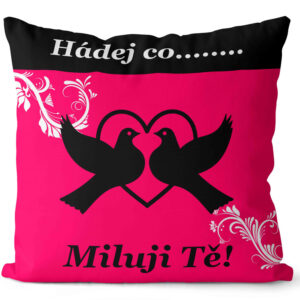 Polštář Hádej co (Velikost: 55 x 55 cm)
