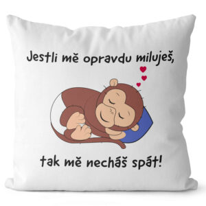 Polštář Nechej mě spát (Velikost: 55 x 55 cm)