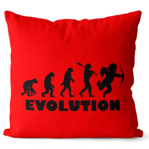 Polštářek Evolution láska (Velikost: 55 x 55 cm)