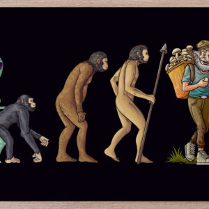 Prostírání Evoluce houbaře