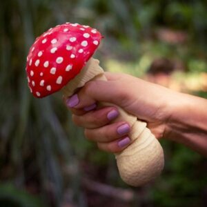 Antistresová houba - muchomůrka