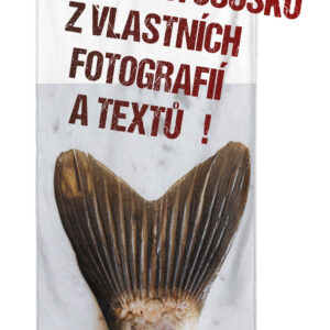 Osuška z vlastních fotografií a textů