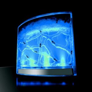Mravenčí akvárium s podsvícením