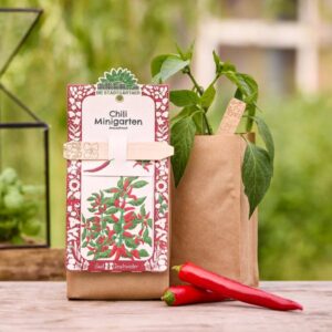 Minigarten: Sada na pěstování - chilli