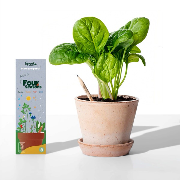 Rostoucí tužky Sprout 4 roční období (8 kusů)