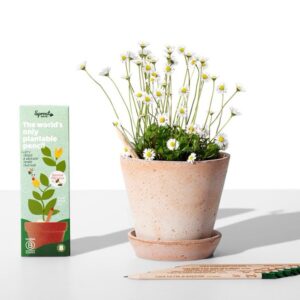 Rostoucí tužky Sprout Láska
